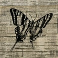 thumbnail image 2 of Allen, Kimberly 12x12 Black Ornate Wood Framed with Double Matting Museum Art Print Titled - Butterfly On Print 2, 2 of 4