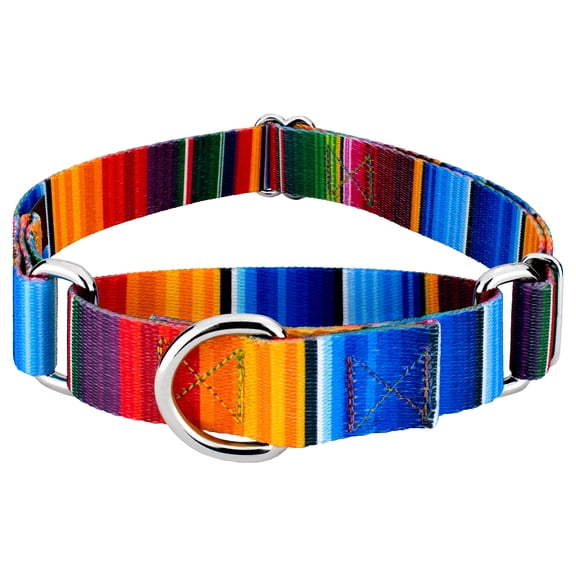 Country Brook Petz® Serape Martingale Dog Collar, Extra Small
