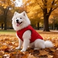 thumbnail image 3 of SIfdSeng Veste Gilet Petits Manteaux pour l'Hiver Temps Froid Veste Chaude Manteau Chiot Vestes Rouges Manteaux Chat, 3 of 7