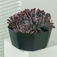 thumbnail image 3 of Macetas Para Plantas Macetas De Plástico De Gran Diámetro Con Orificio De Drenaje Macetas Modernas Ideal Para Plantas Hierbas Violetas Africanas Plantas De Follaje Advancent HA028500-02, 3 of 6