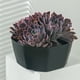 thumbnail image 3 of Macetas Para Plantas Macetas De Plástico De Gran Diámetro Con Orificio De Drenaje Macetas Modernas Ideal Para Plantas Hierbas Violetas Africanas Plantas De Follaje sonducket HA028500-02, 3 of 6