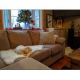 thumbnail image 4 of Single Pelt Sheepskin Rug, 4 of 5