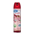 thumbnail image 1 of Aromatizante en Aerosol Great Value Petalos de Jamaica 226g, 1 of 4