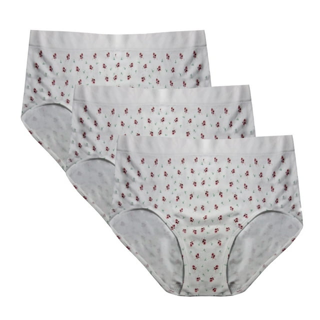 FEM Culottes pour FEMmes Sans Coutures, Culottes Couvrantes - Lot de 3