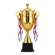 thumbnail image 2 of Premio Trofeo Copa, Mini Trofeo con Cintas, Mano de Obra Fina, Artículos para Fiestas, Decoración, Copa Trofeo de Participación, Trofeo Adulto para Ba Altura 425 cm Baoblaze mini trofeo, 2 of 8