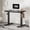 Black, variant on FitStand Adjustable Standing Desk 48"x24", One-Piece Desktop Electric Sit Stand Desk with 176lbs Load, 4 Memory Heights & 2 Hooks for Home Office, White