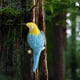 thumbnail image 5 of Estatua de pájaro en miniatura creativa para decoración de loros en el jardín o en el interior. Azul, 5 of 7