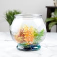 thumbnail image 4 of Aqua Culture Aquarium Plant Value Pack, 4" Small Plants, 3 Count Silicone Material, 4 of 13