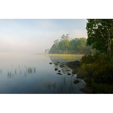 Shoreline trees and grasses along Nina Moose Lake fog Boundary Waters Canoe Area Wilderness Minnesota USA Poster Print (8 x (Best Boundary Waters Entry Points)