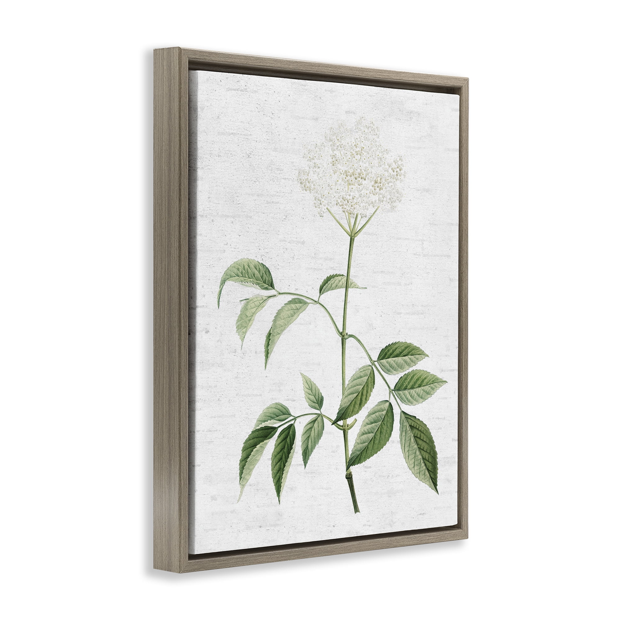 Stupell Industries Subtle Neutral Flower Botanical & Floral Painting Brown Floater Framed Art Print Wall Art, 17 x 21