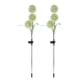 thumbnail image 2 of Luces LED de diente de león para jardín lámpara de estacas Tmvgtek solares de flores impermeables para exteriores camino Patio Villa decoración de césped 2 piezas, 2 of 9