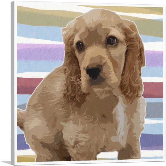 ARTCANVAS American Cocker Spaniel Dog Breed Canvas Art Print - Size: 26" x 26" (1.50" Deep)