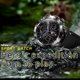thumbnail image 3 of Reloj deportivo con pulsera inteligente KR10 con pantalla táctil IPS de 1,39 pulgadas y control del ritmo cardíaco, 3 of 8