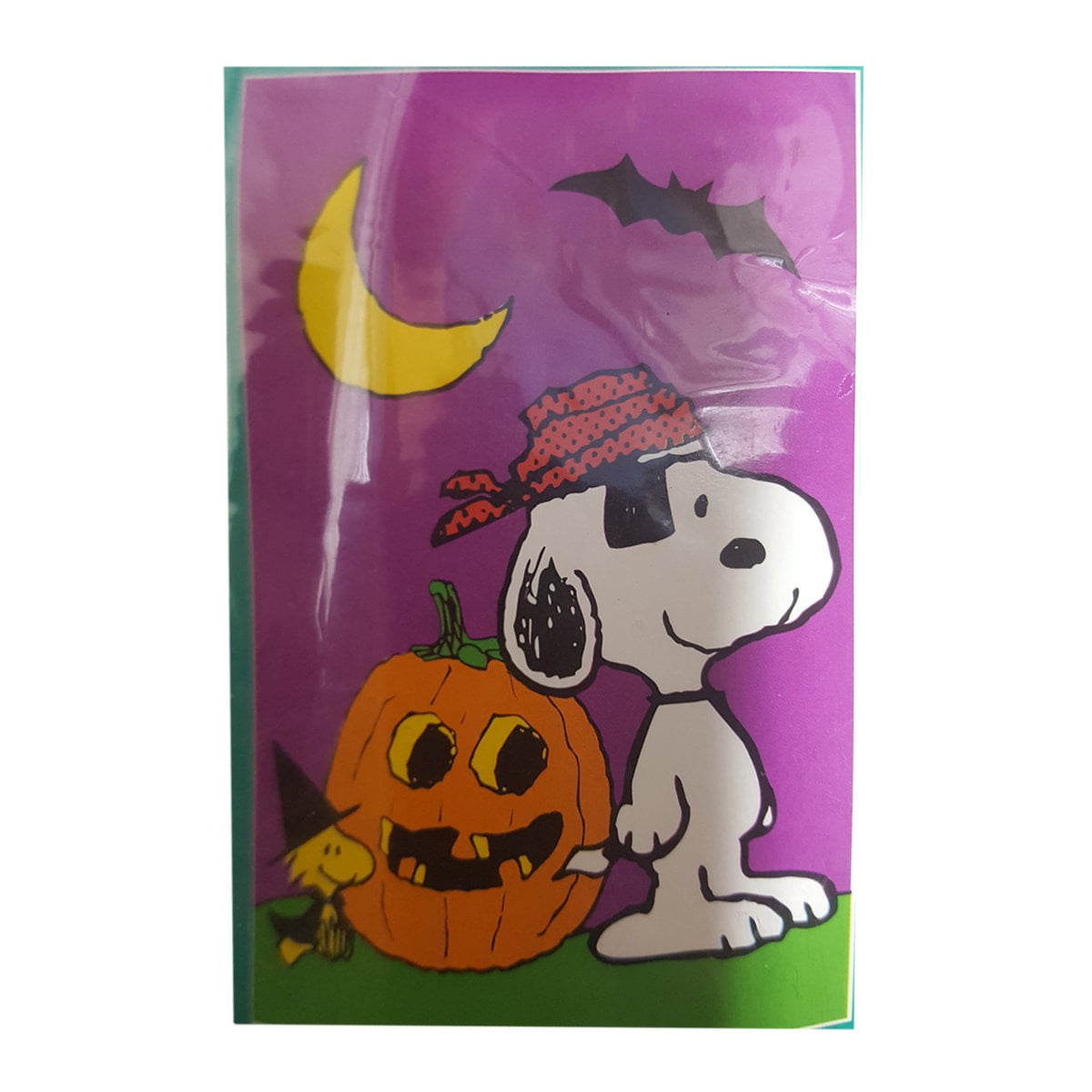 Peanuts Snoopy Halloween Decorative House Flag Indoor/Outdoor 28" x 40"