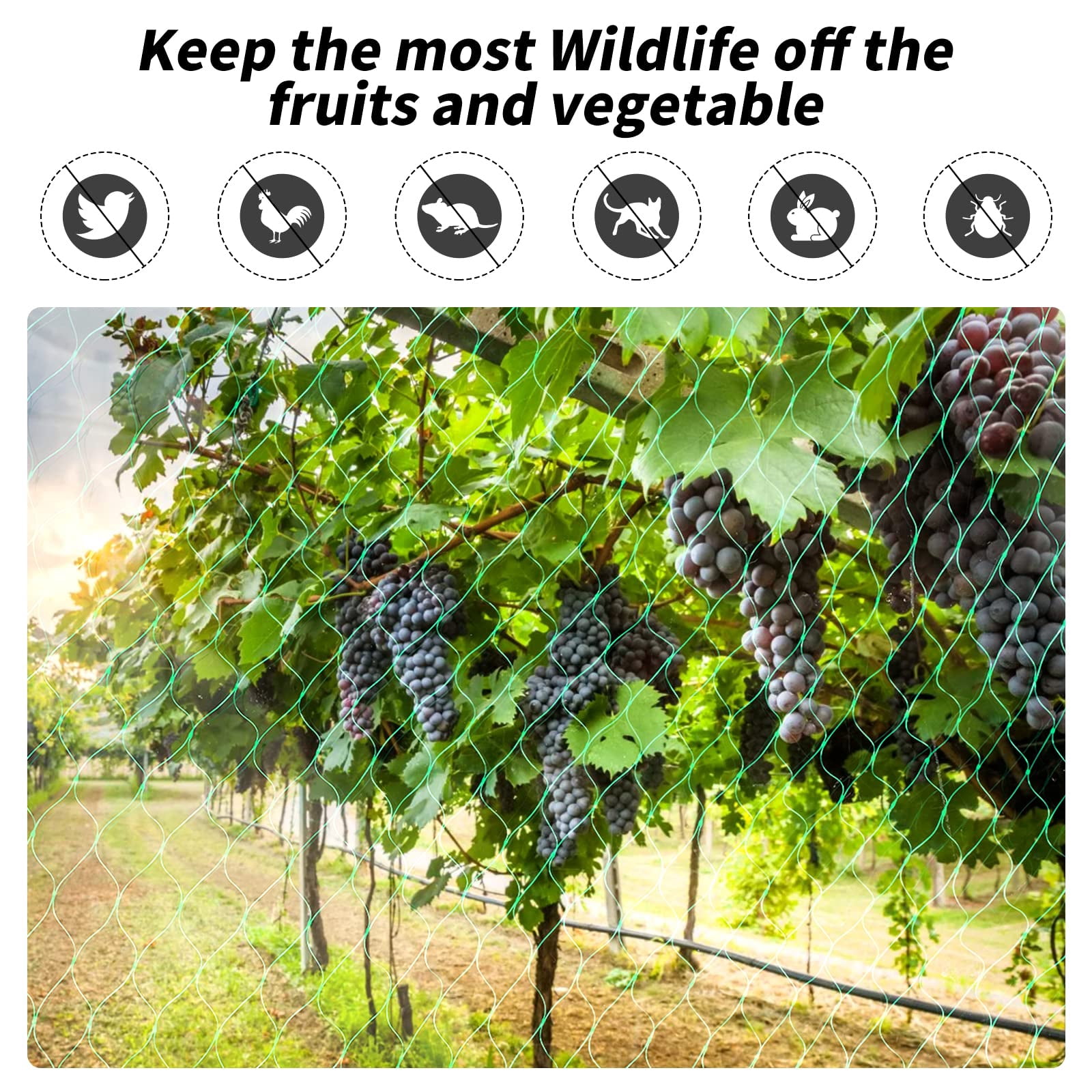 Bird Netting for Garden-Garden Netting Mesh for Garden Protection Bird Fence Plant Netting Chicken Coop Deer Squirrels Poultry Protect Fruit Trees Vegetable