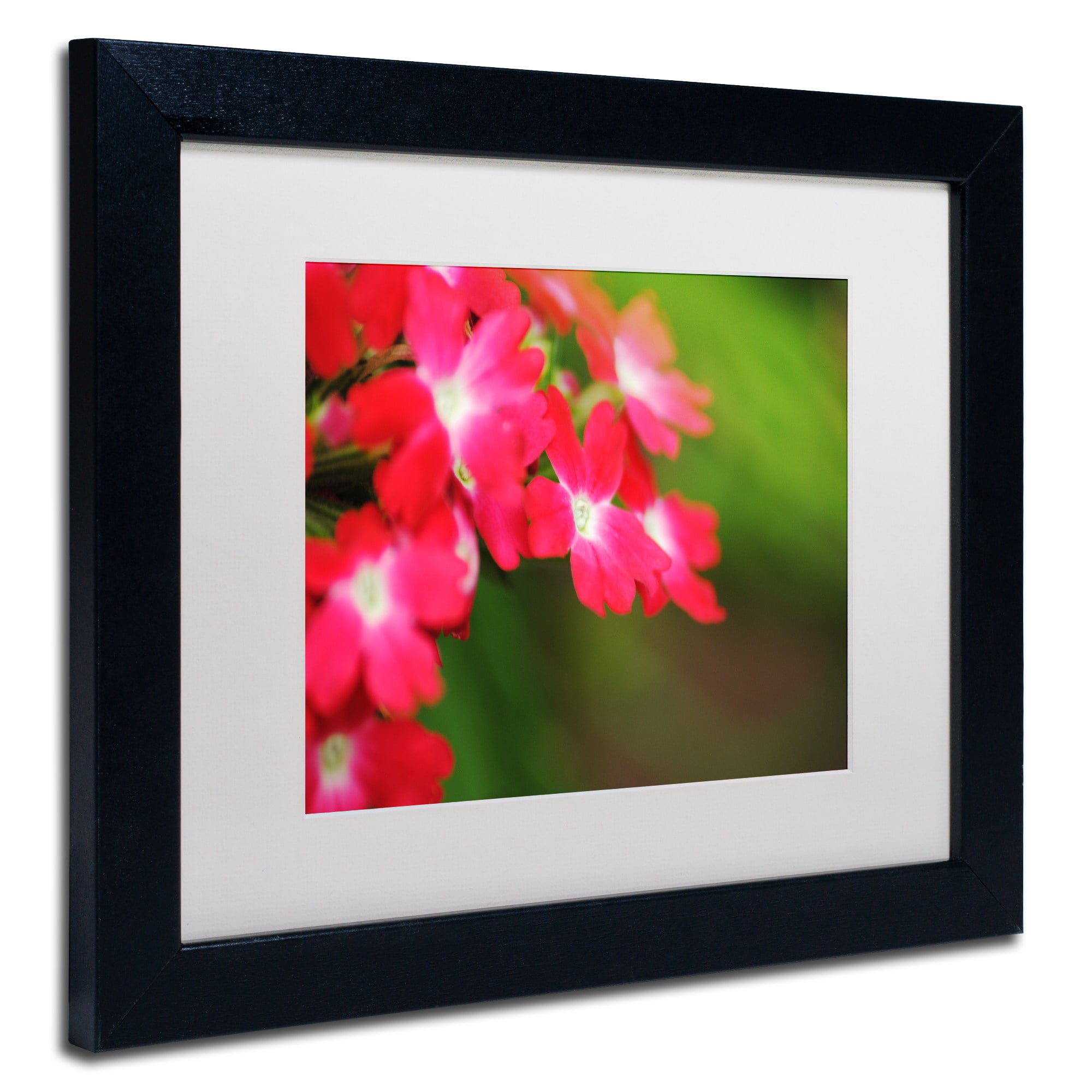 Trademark Fine Art "Paired Ornament" Canvas Art by Monica Mize, White Matte, Black Frame