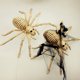 thumbnail image 5 of Animales De Halloween, Huesos, Simulación De Terror, Esqueleto, Decoración De Fiesta De Halloween Speravity HA044865-03, 5 of 5