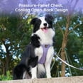 thumbnail image 4 of BELLA & PAL Dog Harness for Medium Dogs, Adjustable Reflective No Pull Step-in Dog Vest, Breathable Soft Mesh Harness and Leash Set for Small Medium Dogs, Lavender, XS, 4 of 8
