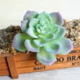 thumbnail image 5 of Mini Fake Succulents Artificial Plants - Ceramic White Potted Succulents - Faux Succulents Plants for Home Office Shelf Decorations Wedding Party Home Desk Bonsai Decor, 5 of 8