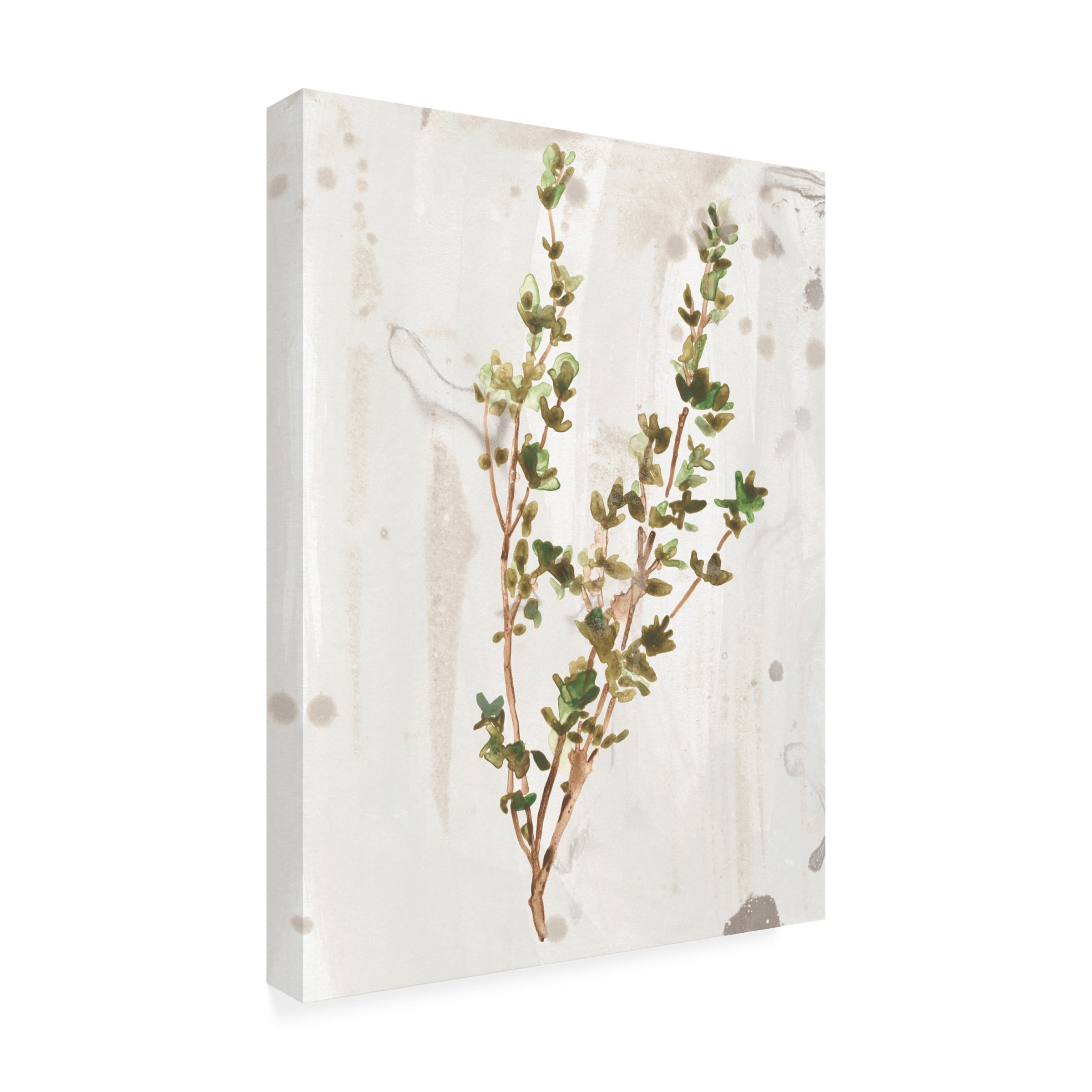 June Erica Vess 'Antique Earthtone Herbs II' Canvas Art