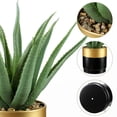 thumbnail image 4 of Planta artificial de agave Briful, suculenta, 31 cm, color negro dorado, 4 of 6