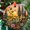 Boho Wildflower Meadow2223, variant on Whimsical Boho Sunlit Village Suncatcher Ornament Window Hangings Sun Catchers Colorful Gifts for Women Mom Wife Halloween Christmas Housewarming, 2025, Festive Home Accent,