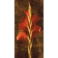 thumbnail image 3 of Seba, John 9x14 Black Modern Framed Museum Art Print Titled - Gladiola, 3 of 5