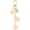 Champagne Color, variant on Flower Charm Keychain, Cute Resin Rose Pendant Keychains Tassel Chain Keyring with Jewelry Box for Women Pink -