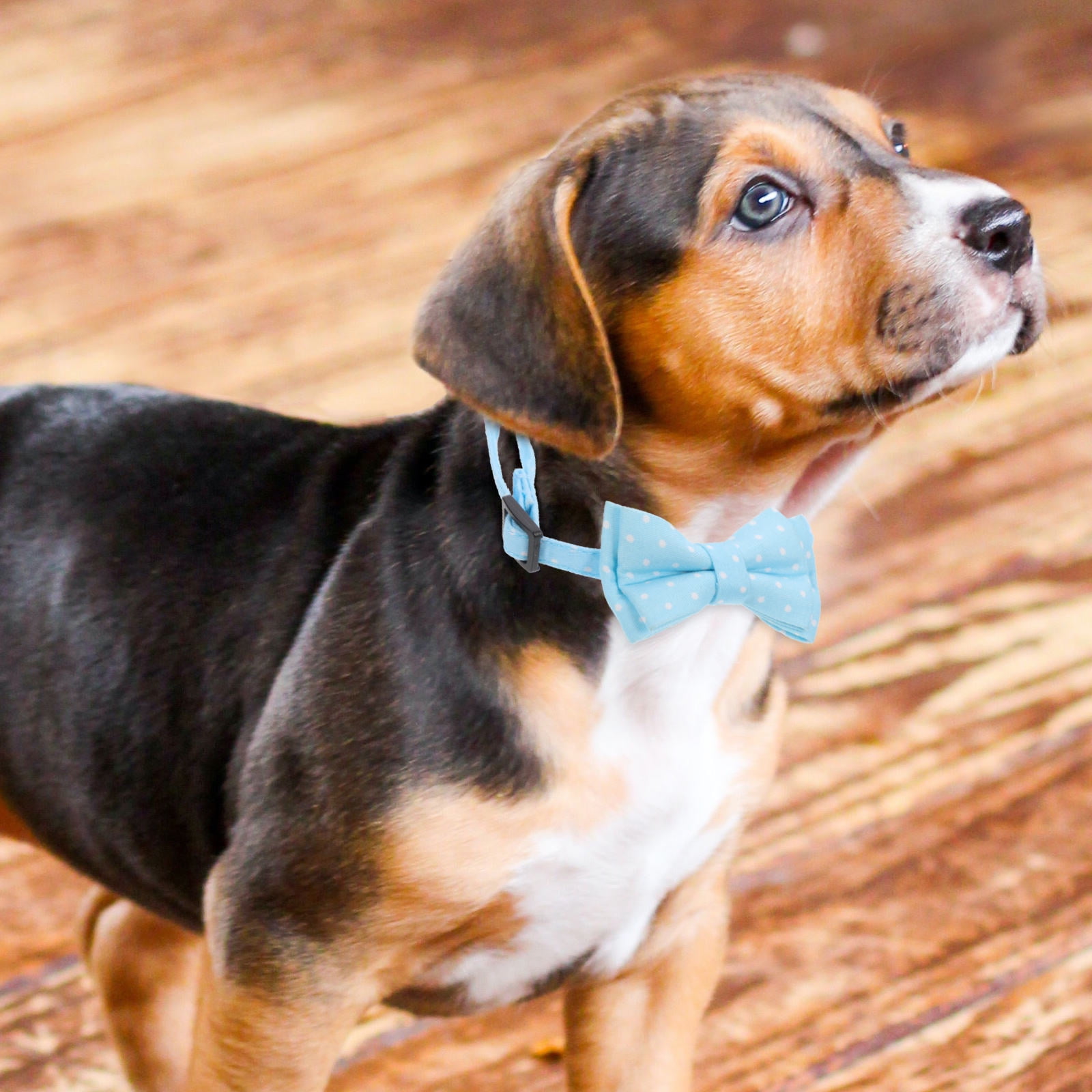 OUNONA Sky Cotton Adjustable Dog Bow Tie Collar Pet Accessory