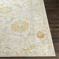 thumbnail image 3 of Surya Bodrum BDM-2311 63 x 87" Rectangle Fabric Rug in Ivory/Saffron/Blue, 3 of 8