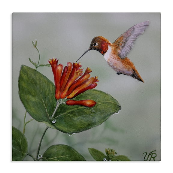 Stupell Industries Red Hummingbird & Flower Animals Painting Wrapped Canvas Art Print Wall Art, 17 x 17