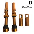 thumbnail image 1 of Kit Presta Tiges Tubeless 40/44/60mm en Acier Inoxydable avec Outil Accessoires de Montagne, 1 of 8