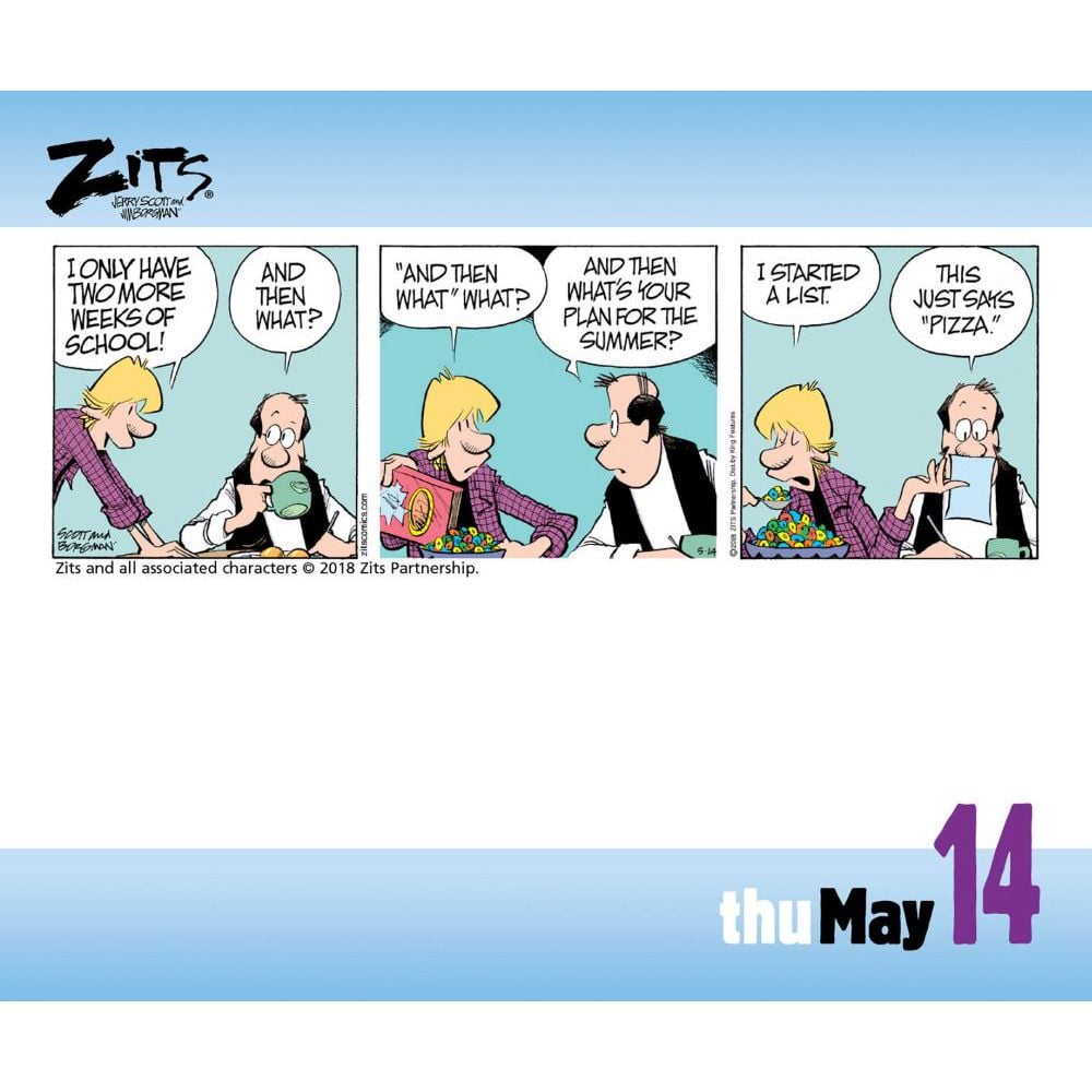 Zits 2020 Day To Day Calendar Other Walmart Com Walmart Com zits comic a day 2021 calendar