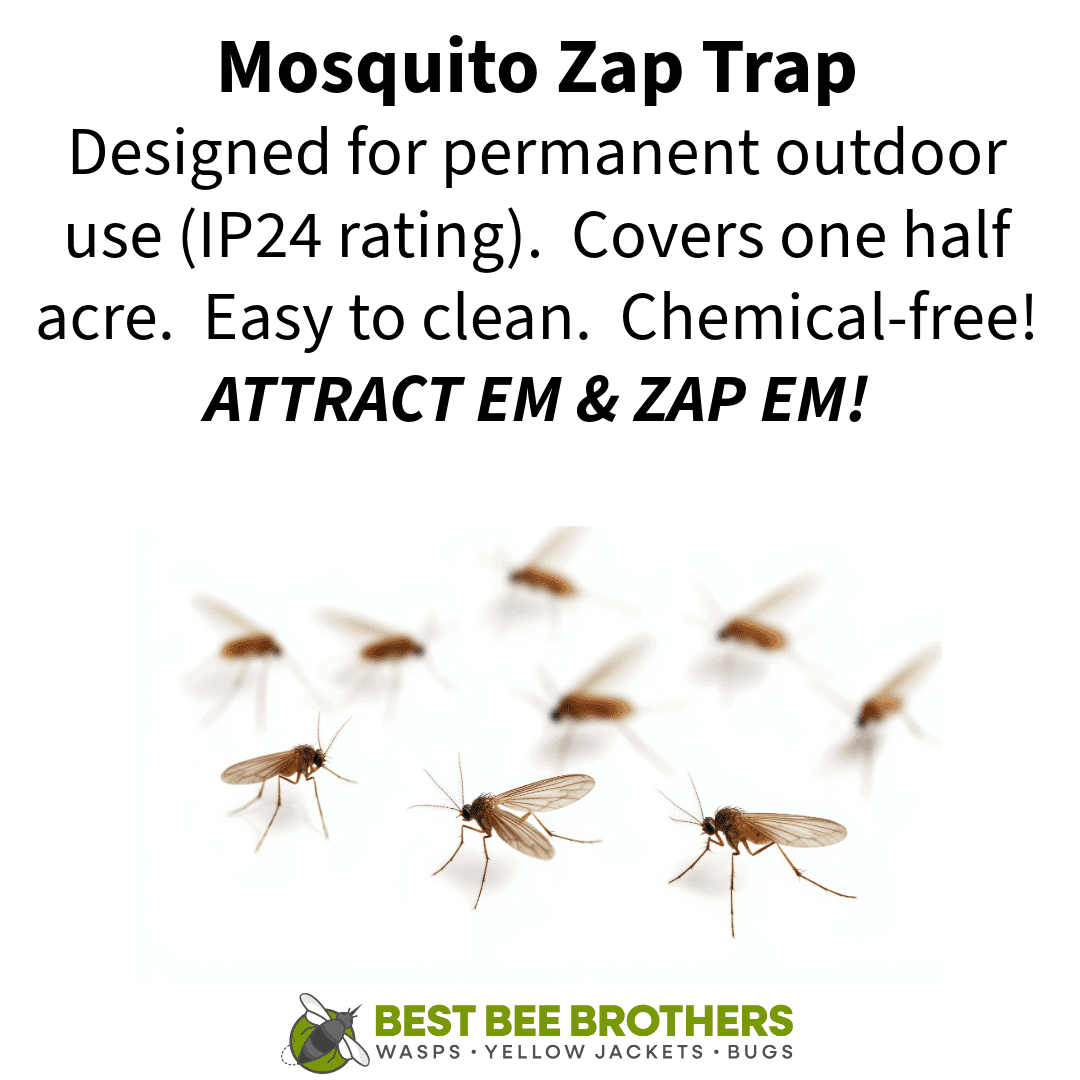 Best Bee Brothers Outdoor 0.5 Acres Hanging Zapper Fly Trap with Small Brush, Black, 1 Count