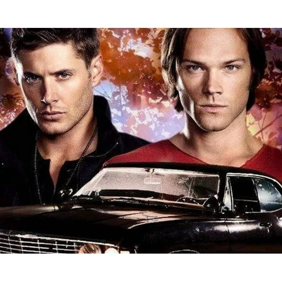 Paint by Numbers Kit for Adults -Supernatural (56)- on Canvas with Brushes Acrylic Pigment DIY Oil Painting for Home Wall Decor (40x50cm/16x20 inch)-