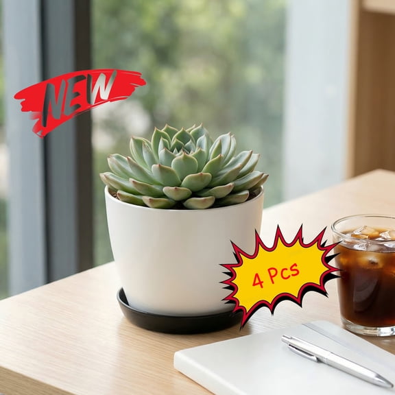 FEOLGEHLY 4-Pack Plant Pots Indoor with Drainage Holes and Drainage Trays, 3 inch Indoor Outdoor Succulent Planters for Garden Home Office Simple Flower Pots Set