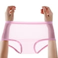 thumbnail image 5 of Transparent Panties for Women See Through Mesh Sheer Underwear Seamless Mid Rise Thin Briefs, 5 of 8