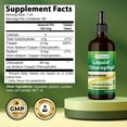 thumbnail image 2 of Best Naturals Liquid Chlorophyll Drops 50mg, 2 fl oz - Supports Energizing, Alkalization, Oxygenation, 2 of 9