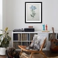 thumbnail image 4 of Art.com Blue Plumbago or Leadwart Art Print by Pierre-Joseph Redoute, Black Frame Wall Art, 32" x 40", 4 of 5