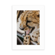 thumbnail image 1 of Organismo animal salvaje leopardo terrestres Marco de Fotos de escritorio imagen Blanco Pintura arte 5x7 pulgadas, 1 of 4