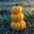 thumbnail image 4 of Fall Pumpkin Stack Decor, 3 Tier Resin Look Plastic Pumpkin Ornament, Tabletop Decor for Mantel Tiered Tray, 4 of 6