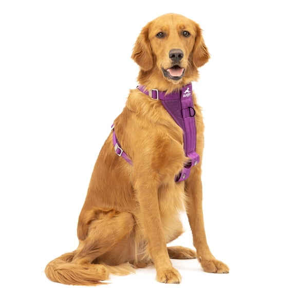 Kurgo Enhanced Strength Tru-Fit Smart Dog Harness, Deep Violet, Large - Crash Tested Car Safety Harness for Dogs, No Pull Dog Harness, Includes Pet Safety Seat Belt Tether, Steel Nesting Buckles