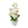 thumbnail image 1 of Artificial Phalaenopsis Orchid In Pot Artificial Home Desk And Garden Decoration, 1 of 1