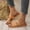 Brown, variant on Aueoeo Women's Flat Slides Sandals Fashion Summer Comfortable Slippers Round Open Toe Casual Beach Shoes