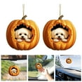 thumbnail image 2 of Hangs Acrylic Cute Pumpkin Puppy Holiday Pendant Decorative Car Rearview for Festive Atmosphere 2PCS, 2 of 8