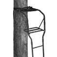 Big Game 15' Basic Ladderstand