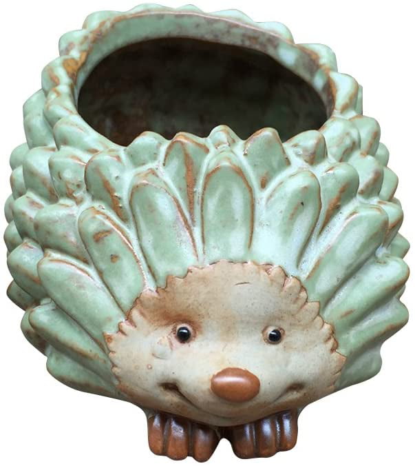 Vivid Arts Cute Hedgehog Peeping out of a Pail **Amazing Detail**Indoor/Outdoor