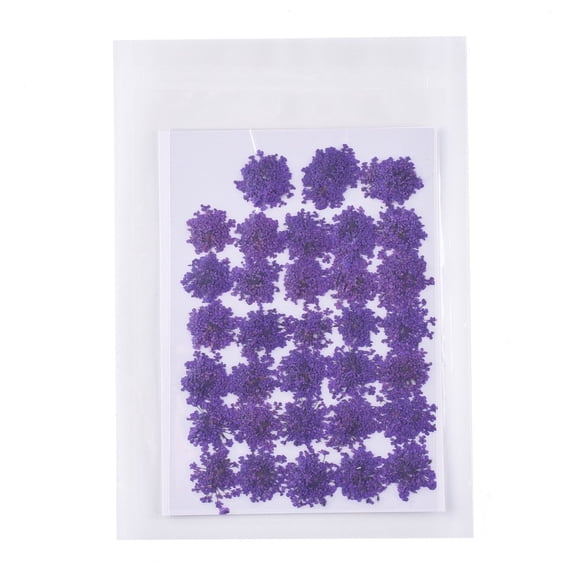 1Bag Pressed Dried Flowers DIY Handmade Craft Dark Violet for Cellphone Photo Frame Scrapbooking 15~20x13~19mm 100pcs/bag