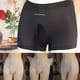 thumbnail image 4 of Sexy Mens Thin Sheer Mesh Underwear Boxer Shorts See Through Briefs Underpants, 4 of 6