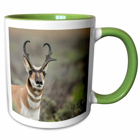 3drose, Pronghorn Buck Showing Territorial Behavior, Grand Tetons Np, Wyoming, 15oz Two-tone Green Mug